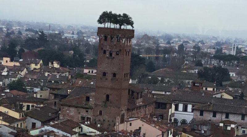 The Guinigi tower – Lucca